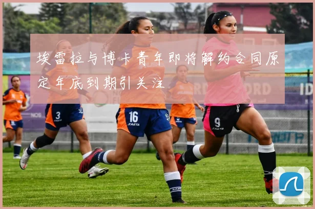 埃雷拉与博卡青年即将解约合同原定年底到期引关注